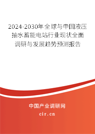 2024-2030年全球與中國液壓抽水蓄能電站行業(yè)現(xiàn)狀全面調(diào)研與發(fā)展趨勢預(yù)測報告