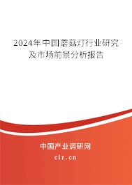 2024年中國蘑菇燈行業(yè)研究及市場前景分析報告