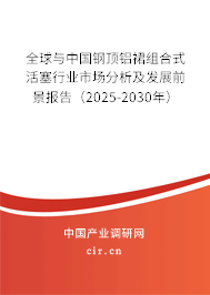 全球與中國鋼頂鋁裙組合式活塞行業(yè)市場(chǎng)分析及發(fā)展前景報(bào)告（2025-2030年）