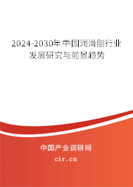 2024-2030年中國潤滑脂行業(yè)發(fā)展研究與前景趨勢