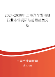 2024-2030年上海汽車發(fā)動(dòng)機(jī)行業(yè)市場(chǎng)調(diào)研與前景趨勢(shì)分析