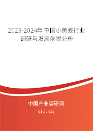 2023-2024年中國小黃姜行業(yè)調(diào)研與發(fā)展前景分析