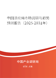 中國滌綸繩市場調(diào)研與趨勢預(yù)測報告（2025-2031年）