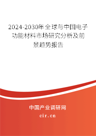 2024-2030年全球與中國電子功能材料市場研究分析及前景趨勢報(bào)告