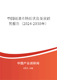 中國堿渣市場現(xiàn)狀及發(fā)展趨勢報告（2024-2030年）