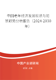 中國老年經(jīng)濟發(fā)展現(xiàn)狀與前景趨勢分析報告（2024-2030年）