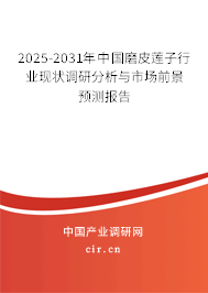 2025-2031年中國磨皮蓮子行業(yè)現(xiàn)狀調(diào)研分析與市場前景預(yù)測報告