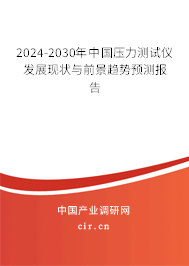 2024-2030年中國壓力測試儀發(fā)展現(xiàn)狀與前景趨勢預(yù)測報告