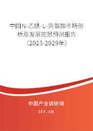 中國N-乙酰-L-亮氨酸市場(chǎng)剖析及發(fā)展前景預(yù)測(cè)報(bào)告（2023-2029年）