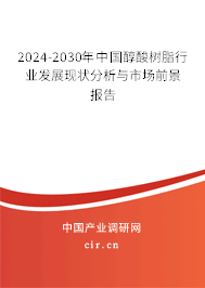 2024-2030年中國(guó)醇酸樹(shù)脂行業(yè)發(fā)展現(xiàn)狀分析與市場(chǎng)前景報(bào)告