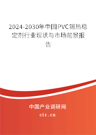 2024-2030年中國PVC錫熱穩(wěn)定劑行業(yè)現(xiàn)狀與市場前景報(bào)告