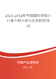 2025-2031年中國(guó)邵氏硬度計(jì)行業(yè)市場(chǎng)分析與前景趨勢(shì)預(yù)測(cè)