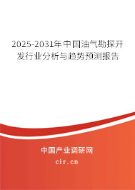 2025-2031年中國(guó)油氣勘探開(kāi)發(fā)行業(yè)分析與趨勢(shì)預(yù)測(cè)報(bào)告