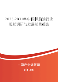 2025-2031年中國樟腦油行業(yè)現(xiàn)狀調(diào)研與發(fā)展前景報告