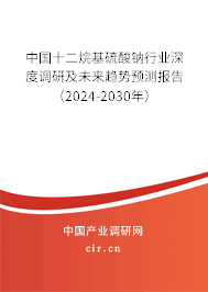 中國十二烷基硫酸鈉行業(yè)深度調(diào)研及未來趨勢預(yù)測報(bào)告（2024-2030年）