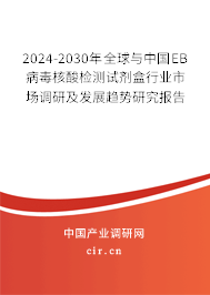 2024-2030年全球與中國EB病毒核酸檢測試劑盒行業(yè)市場調研及發(fā)展趨勢研究報告