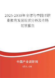 2025-2030年全球與中國IT職業(yè)教育發(fā)展現(xiàn)狀分析及市場前景報告