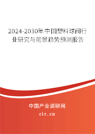 2024-2030年中國(guó)塑料球閥行業(yè)研究與前景趨勢(shì)預(yù)測(cè)報(bào)告