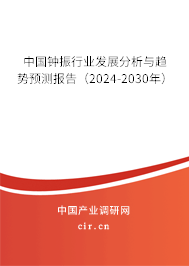 中國鐘振行業(yè)發(fā)展分析與趨勢預測報告（2024-2030年）