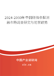 2024-2030年中國(guó)硅微條探測(cè)器市場(chǎng)調(diào)查研究與前景趨勢(shì)