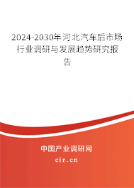 2024-2030年河北汽車后市場行業(yè)調(diào)研與發(fā)展趨勢研究報告