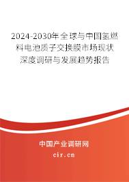 2024-2030年全球與中國氫燃料電池質(zhì)子交換膜市場現(xiàn)狀深度調(diào)研與發(fā)展趨勢報告