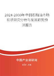 2024-2030年中國石腦油市場現(xiàn)狀研究分析與發(fā)展趨勢預(yù)測報告