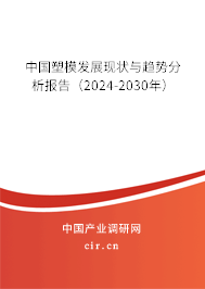 中國塑模發(fā)展現(xiàn)狀與趨勢(shì)分析報(bào)告（2024-2030年）