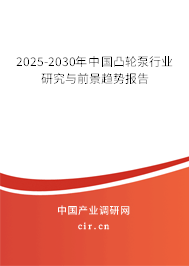 2025-2030年中國凸輪泵行業(yè)研究與前景趨勢報(bào)告