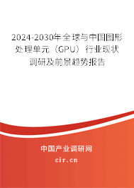 2024-2030年全球與中國圖形處理單元（GPU）行業(yè)現(xiàn)狀調(diào)研及前景趨勢報告