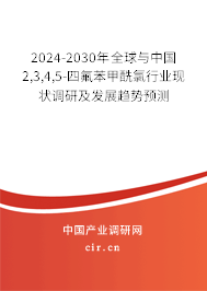 2024-2030年全球與中國2,3,4,5-四氟苯甲酰氯行業(yè)現(xiàn)狀調(diào)研及發(fā)展趨勢(shì)預(yù)測(cè)