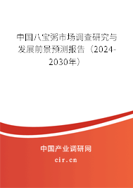 中國八寶粥市場調(diào)查研究與發(fā)展前景預(yù)測報告（2024-2030年）