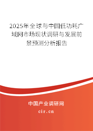 2025年全球與中國低功耗廣域網(wǎng)市場現(xiàn)狀調研與發(fā)展前景預測分析報告