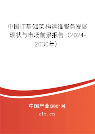 中國IT基礎(chǔ)架構(gòu)運(yùn)維服務(wù)發(fā)展現(xiàn)狀與市場前景報告（2024-2030年）