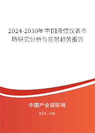 2024-2030年中國液位儀表市場研究分析與前景趨勢報告