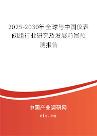 2025-2030年全球與中國儀表閥組行業(yè)研究及發(fā)展前景預(yù)測報告