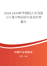 2024-2030年中國插入式流量計(jì)行業(yè)市場調(diào)研與發(fā)展前景報(bào)告