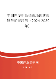 中國聲發(fā)射系統(tǒng)市場現(xiàn)狀調(diào)研與前景趨勢（2024-2030年）