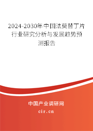 2024-2030年中國法莫替丁片行業(yè)研究分析與發(fā)展趨勢預測報告