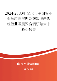 2024-2030年全球與中國(guó)智能消防應(yīng)急照明及疏散指示系統(tǒng)行業(yè)發(fā)展深度調(diào)研與未來(lái)趨勢(shì)報(bào)告