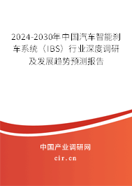 2024-2030年中國汽車智能剎車系統(tǒng)（IBS）行業(yè)深度調(diào)研及發(fā)展趨勢預(yù)測報告