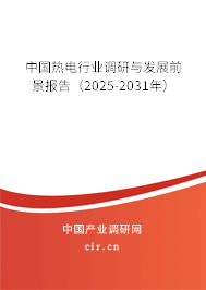 中國熱電行業(yè)調(diào)研與發(fā)展前景報(bào)告（2025-2031年）