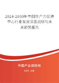 2024-2030年中國生產(chǎn)力促進中心行業(yè)發(fā)展深度調(diào)研與未來趨勢報告