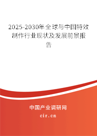 2025-2030年全球與中國特效制作行業(yè)現(xiàn)狀及發(fā)展前景報告