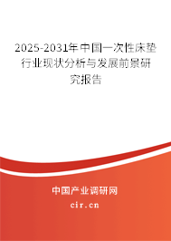 2024-2030年中國一次性床墊行業(yè)現(xiàn)狀分析與發(fā)展前景研究報告