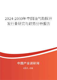 2024-2030年中國油氣勘探開發(fā)行業(yè)研究與趨勢分析報告