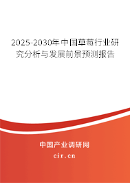 2025-2030年中國草莓行業(yè)研究分析與發(fā)展前景預(yù)測報(bào)告