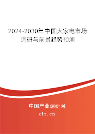 2024-2030年中國大家電市場調(diào)研與前景趨勢預測