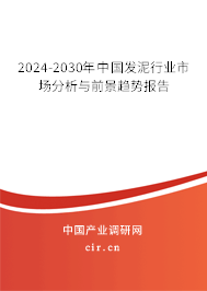 2024-2030年中國發(fā)泥行業(yè)市場分析與前景趨勢報告