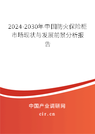 2024-2030年中國防火保險柜市場現(xiàn)狀與發(fā)展前景分析報告